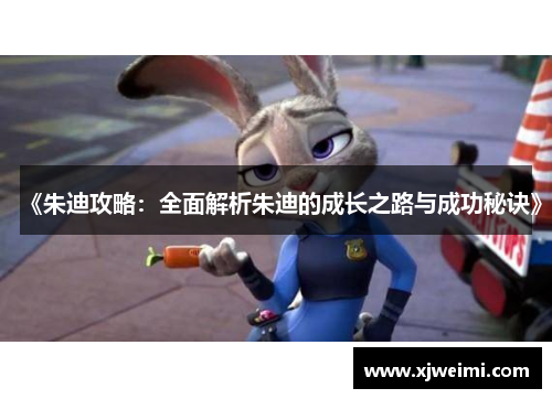 《朱迪攻略：全面解析朱迪的成长之路与成功秘诀》