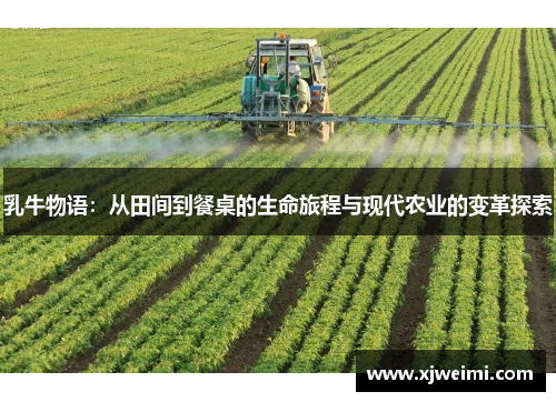 乳牛物语：从田间到餐桌的生命旅程与现代农业的变革探索