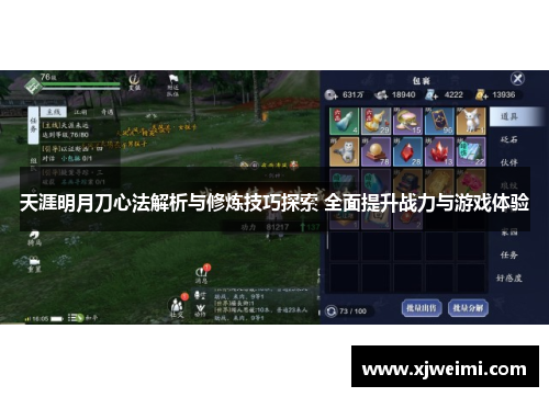 天涯明月刀心法解析与修炼技巧探索 全面提升战力与游戏体验